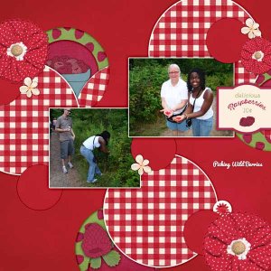 PS_-_GS_Scraplift_Feb