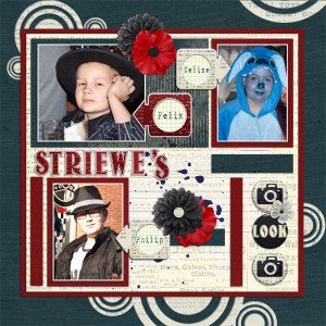 The Striewe s