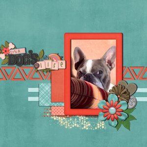 It's A Dog's Life