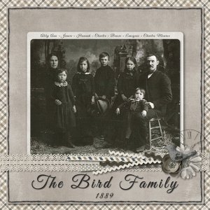 The Bird Family
