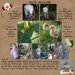 2010 Garden- Week 4