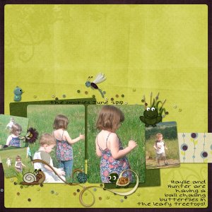 Chasing ButterFlies