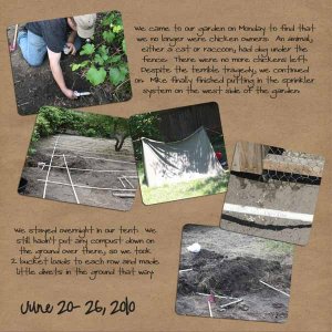 2010 Garden- Week 7