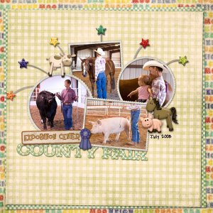County Fair 2