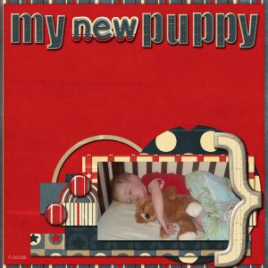 My new puppy