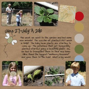 2010 Garden- Week 8