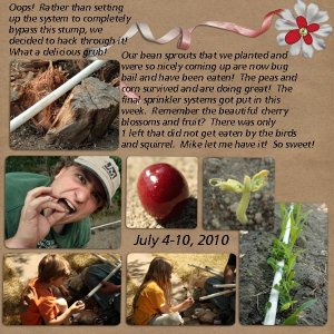 2010 Garden- Week 9