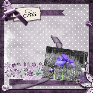 Iris