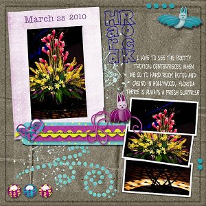 Hard Rock Flowers