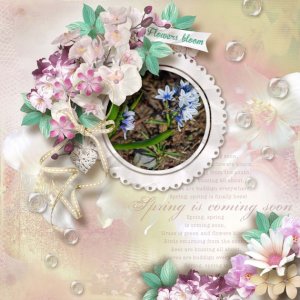 Spring_is_coming_soon