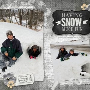 Snow Much Fun