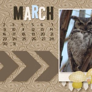 march_desktop_small
