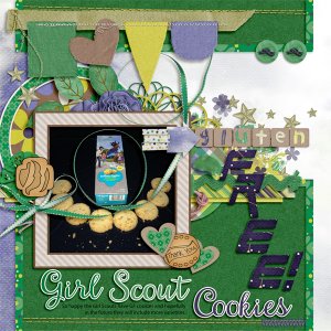 Gluten Free Girl Scout Cookies