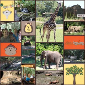 Safari