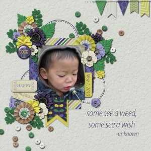 Some see a Wish