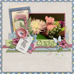 Cupig