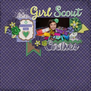 gs cookies