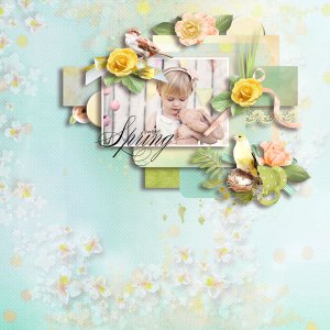 01-Spring