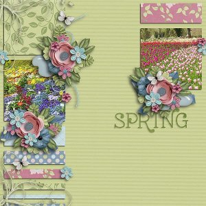 The beauty of spring
