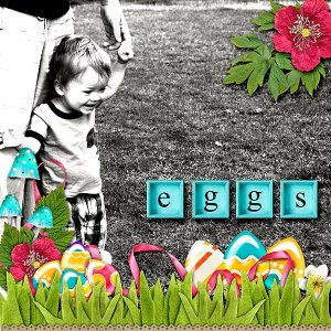 Eggs!