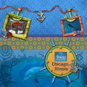 Shedd Aquarium