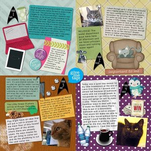 2015 P52 Week 9 Page 2