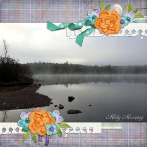 Misty Morning