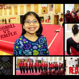 Gym Meet 1