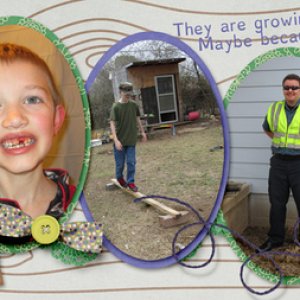 Timeline cover