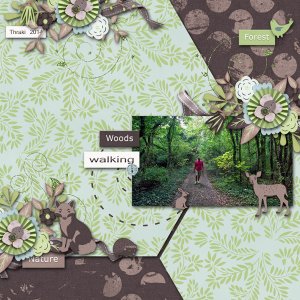 woods walk