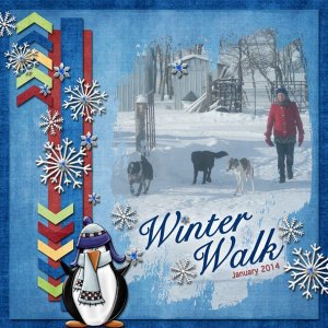 Winter Walk