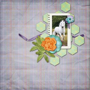 Spring Pony