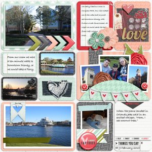 18Feb2015CongressPark