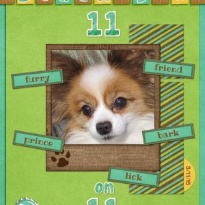 Beaux D is 11 on 11