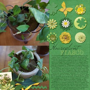 Houseplant Fiasco