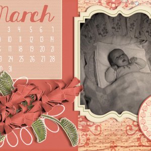 0315 Desktop - Baby MsKinsey