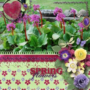 Spring_flowers3