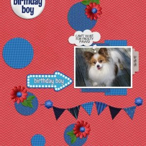 The Birthday Boy