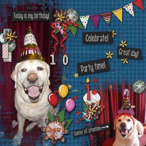 Yep, It's My Birthday