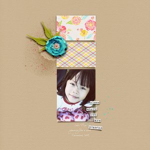 Bloom