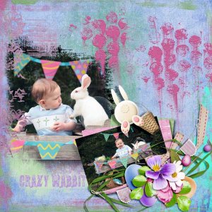 Crazy Wabbit