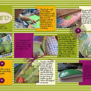 Project 52 week 11