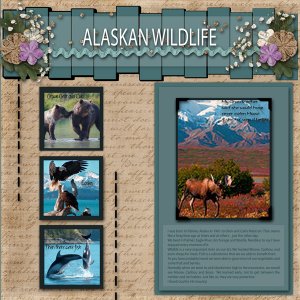 Alaskan Wildlife