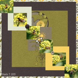 Bees
