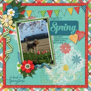 sweet Spring