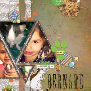 Bernard