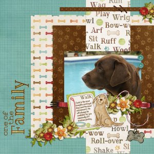 March_3_web