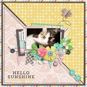 hello sunshine