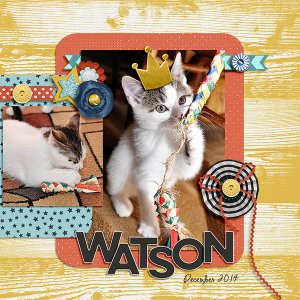 watson playtime