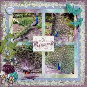 Peacock